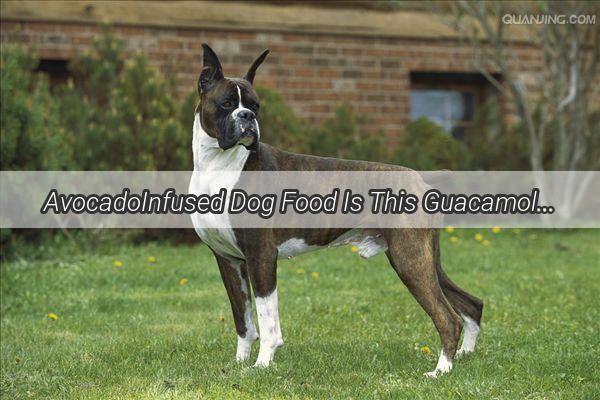 AvocadoInfused Dog Food Is This GuacamoleLike Treat Safe for Your Pup